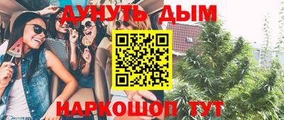 mdma Новозыбков