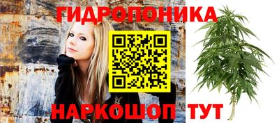 mdma Новозыбков