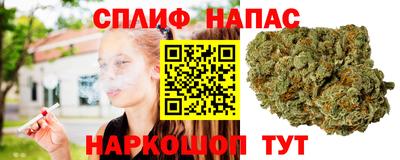 mdpv Новокубанск