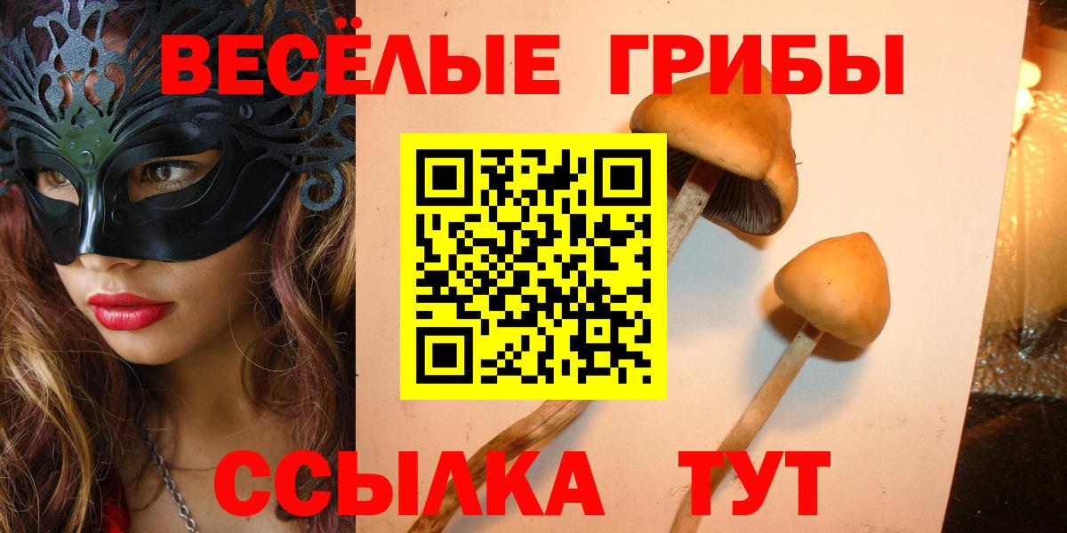 где продают наркотики  Галлюциногенные грибы ЛСД  Вход с VPN  Пушкино  Псилоцибиновые грибы Psilocybine cubensis 
