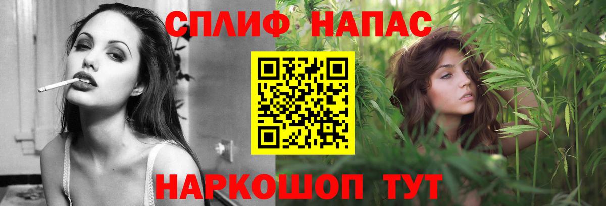 Конопля планчик  Вход с VPN  Каннабис сатива  Пушкино 